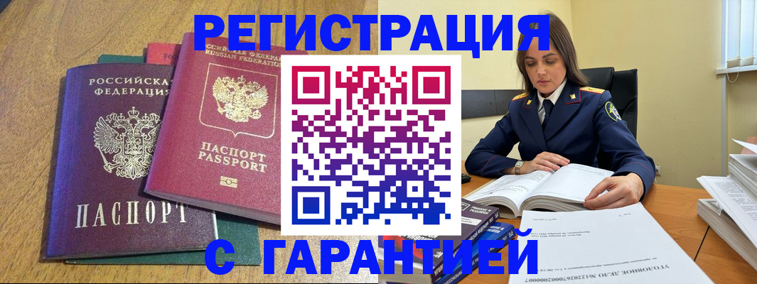 где прописаться в Ельне